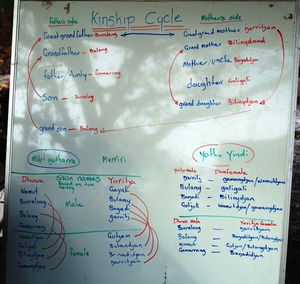 kinship cycles