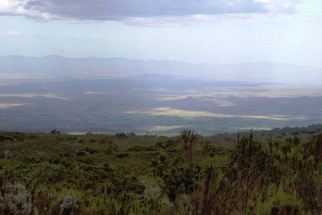 kenyan plains