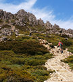 heading to the summit of Cradle Mountain