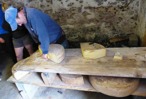 Beaufort cheese making