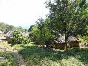 local indigenous Kogui village 