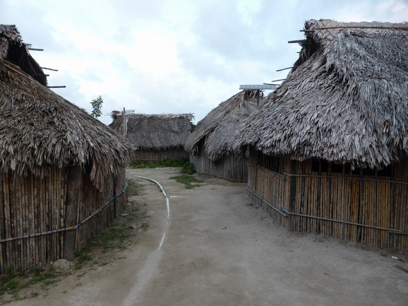 indigenous huts