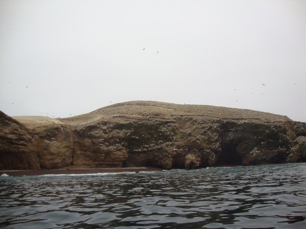Ballestas Islands teeming with birds