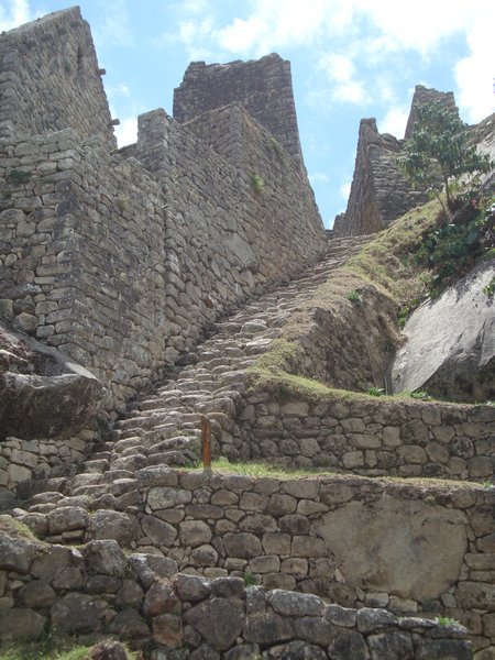 More stairs in Machu Picchu