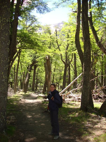 The wooded forests along the walks