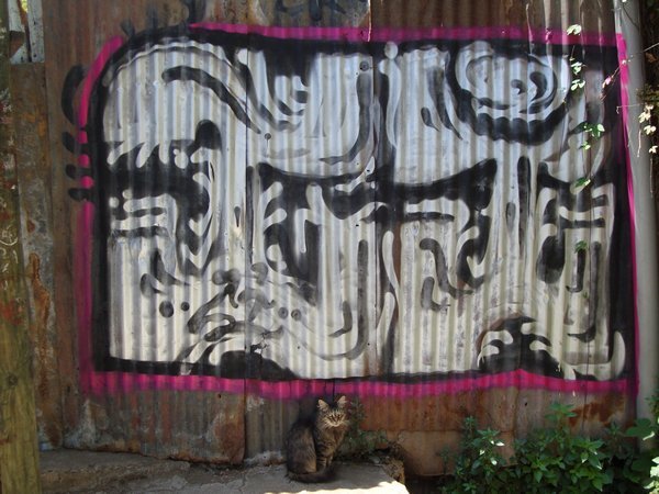 Cat and Graffiti
