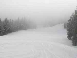 PÃ¥ ski i snestorm