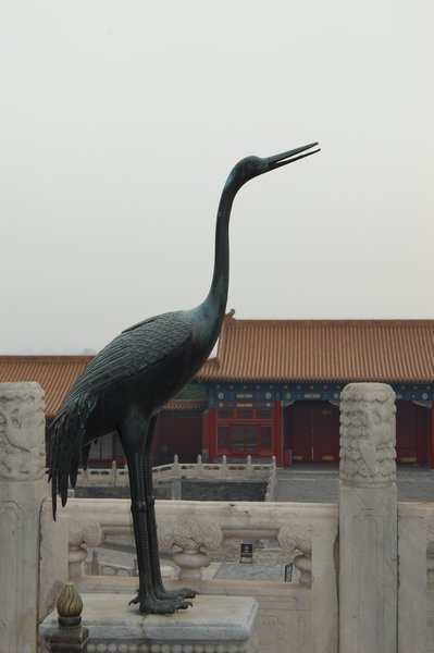 Crane - symbol of peace and harmony