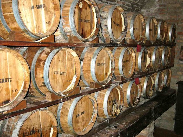 Montilcino winery