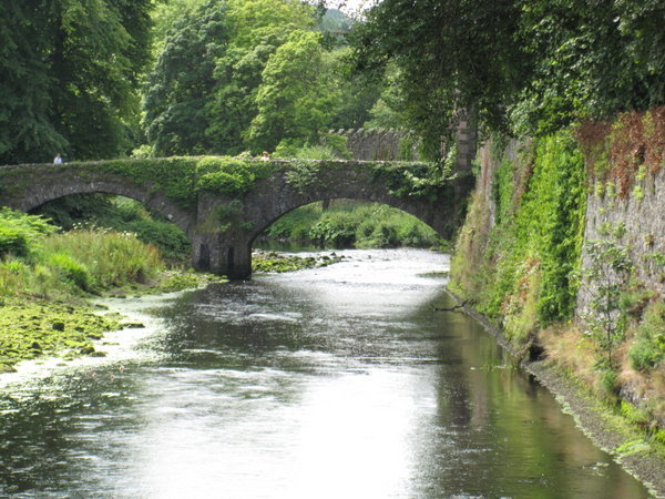 Bridge & Creek