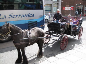 Horse & Cart in Dublin
