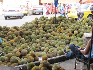 In Malaysia ist derzeit Durian-Saison. Man riecht es!