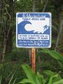 Tsunami-Warnung