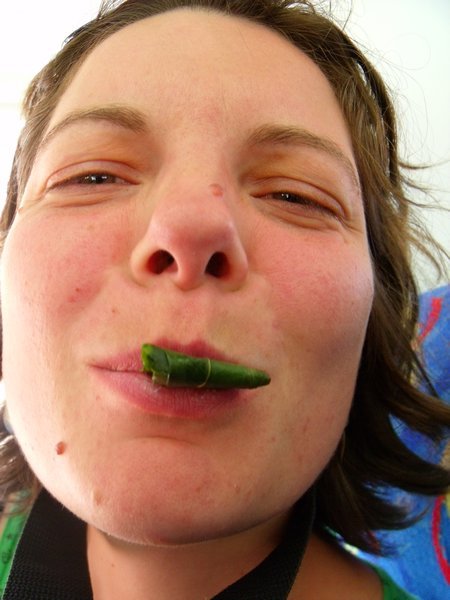 Diana chewing coca leaves...