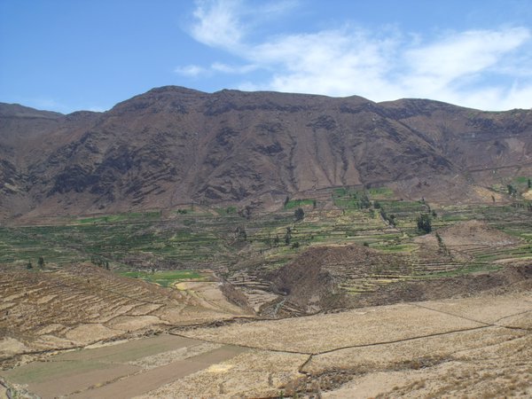 Colca Canyon