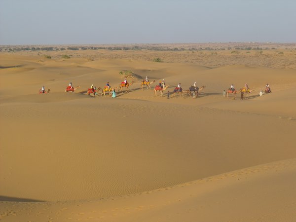 Kamel Safari