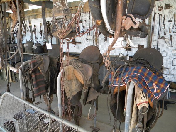 OLD SADDLES AT MUSEUM