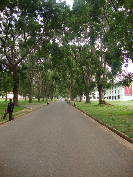 Road on Campus