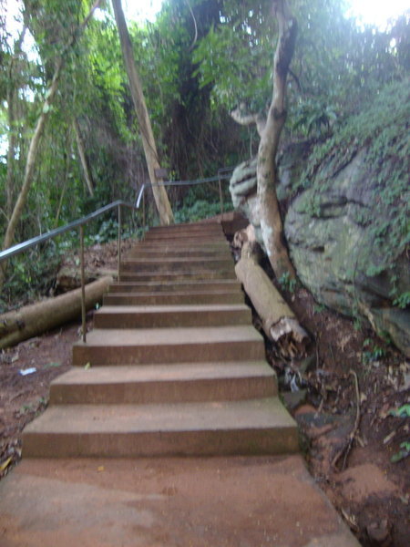 Path To Boti Falls