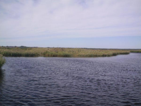 Whalong Nature Reserve III
