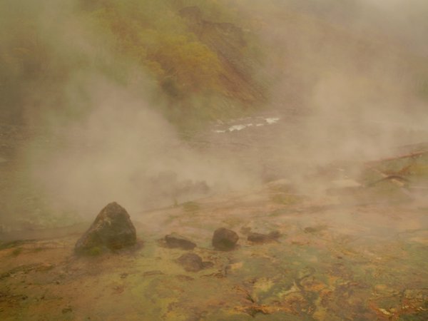 The hot springs I