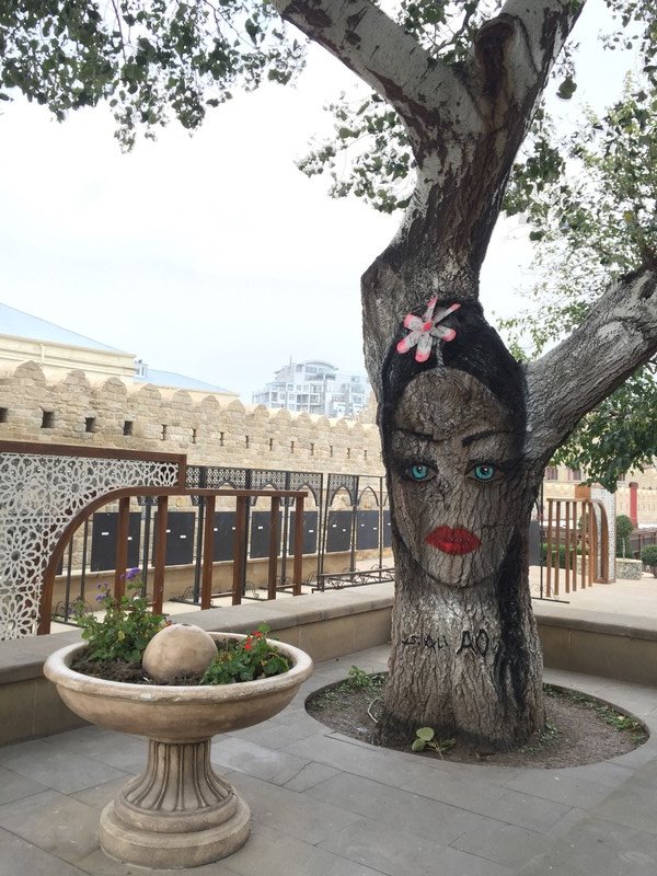 An Interesting Tree in Baku