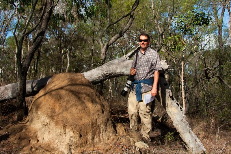 Termite Mound