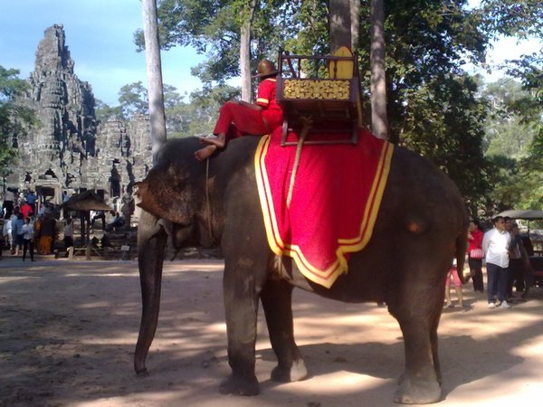 Elephant ride around Angkor Wat