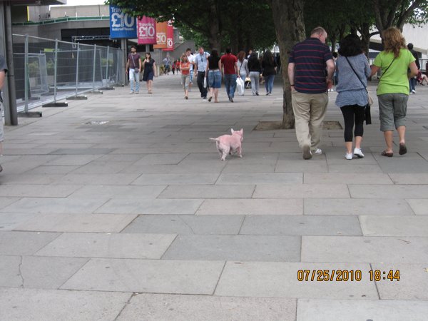 that pink dog again
