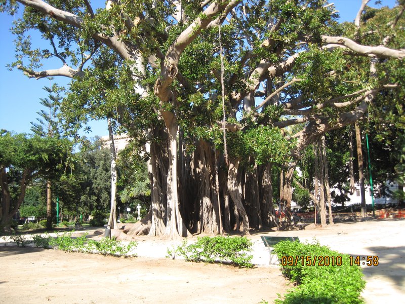 a Palermo park
