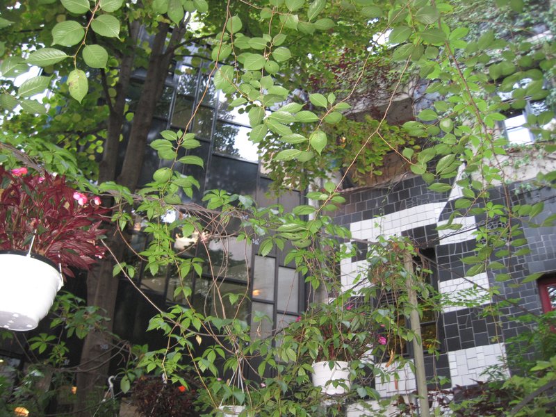 Hundertwasser's house