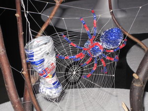 Red Bull spiders web
