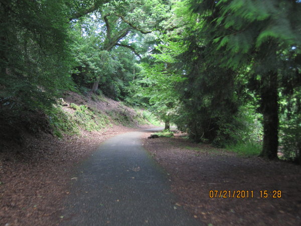 Cycle trail from Bodmin town to train station.