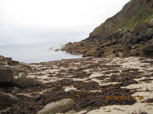A private seawead covered beach