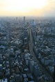 Tokyo - Mori 49th floor, western view