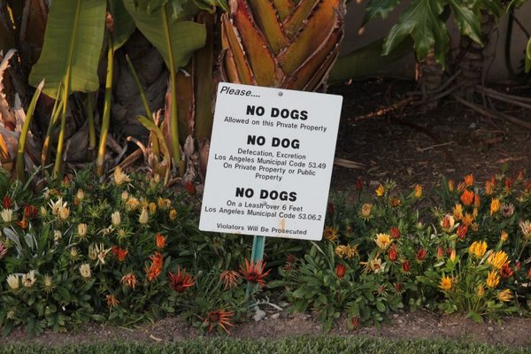no dogs!