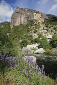 some Yosemite rock