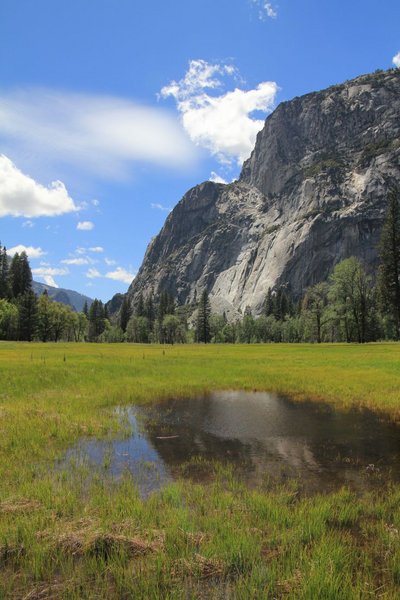 Yosemite meadows