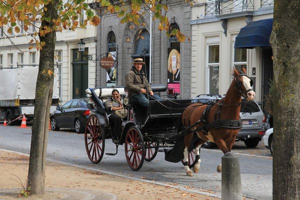 Brugge horse cart