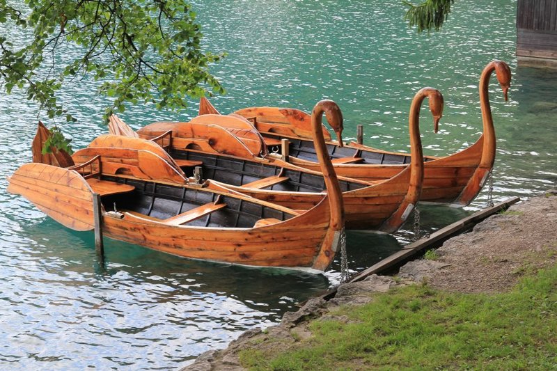 dragon boats?