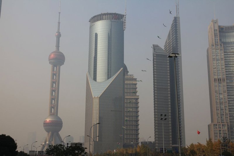 Pearl Tower &ors