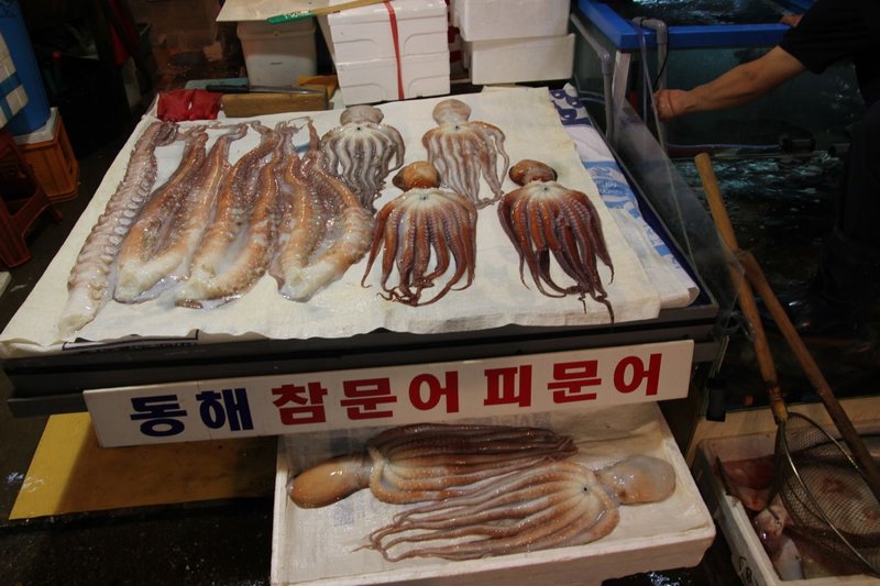 Noryangin octopi