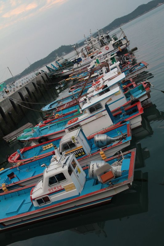 Wando fishing boats