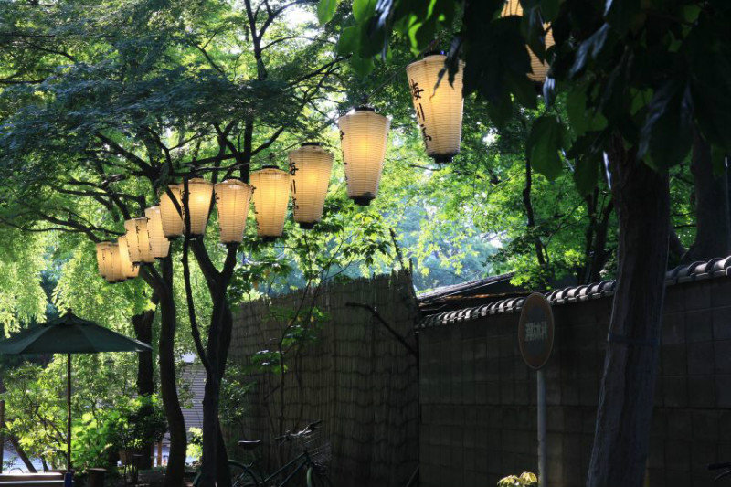 Ueno Park lanterns