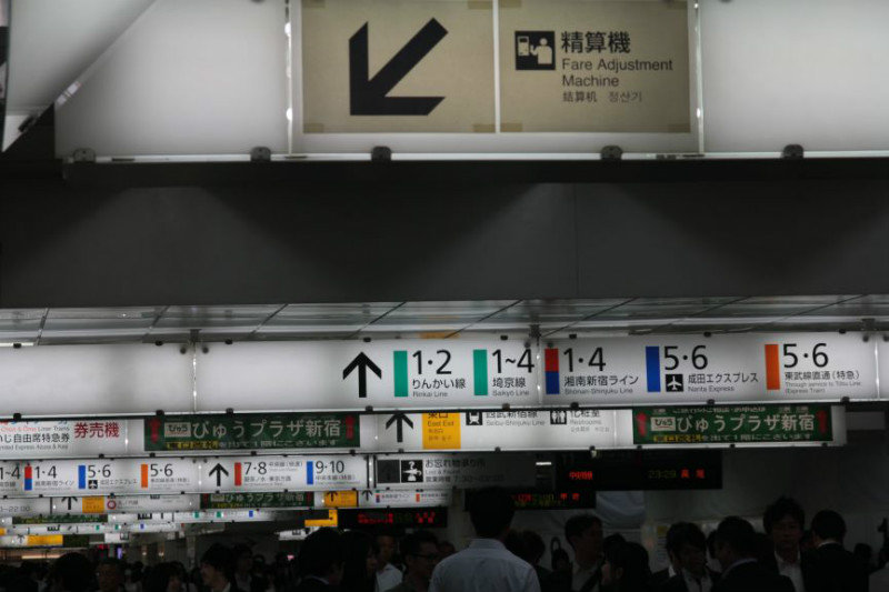Shinkuku station rail jungle