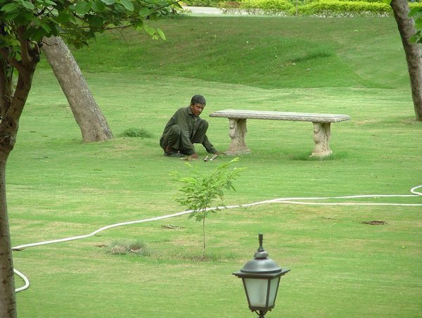 Hotel Jaypee, Agra: trabajando en el jardín