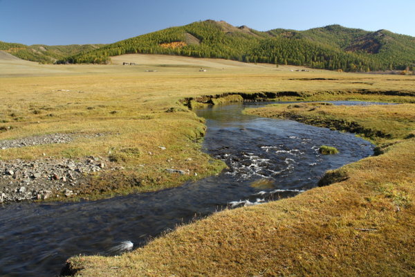 N mongolia landscape 