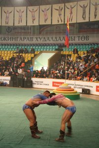 mongolian wrestling