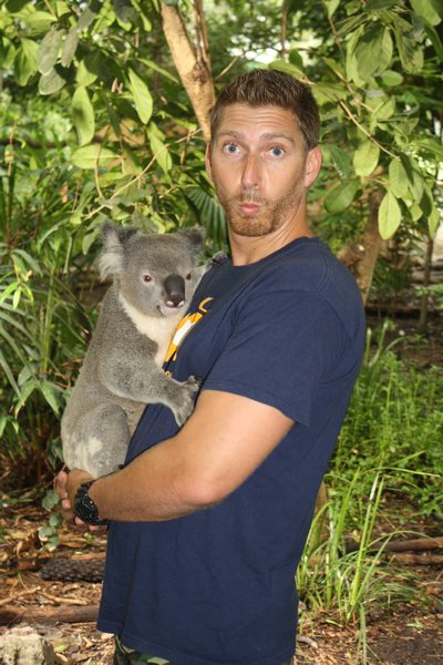 hug a Koala