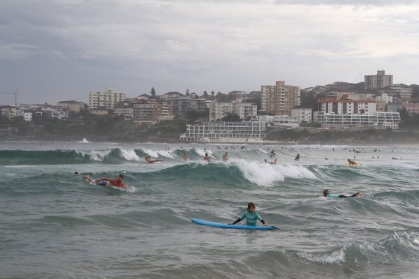 crowds in the water at Bondi